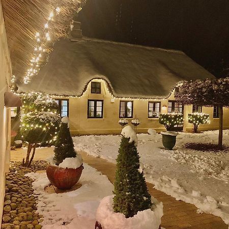 Mindedalen - Idyl Taet Pa Alt Og Helt I Fred Billum Exterior foto