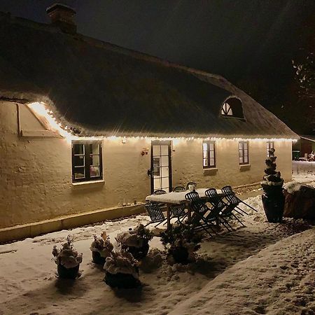 Mindedalen - Idyl Taet Pa Alt Og Helt I Fred Billum Exterior foto