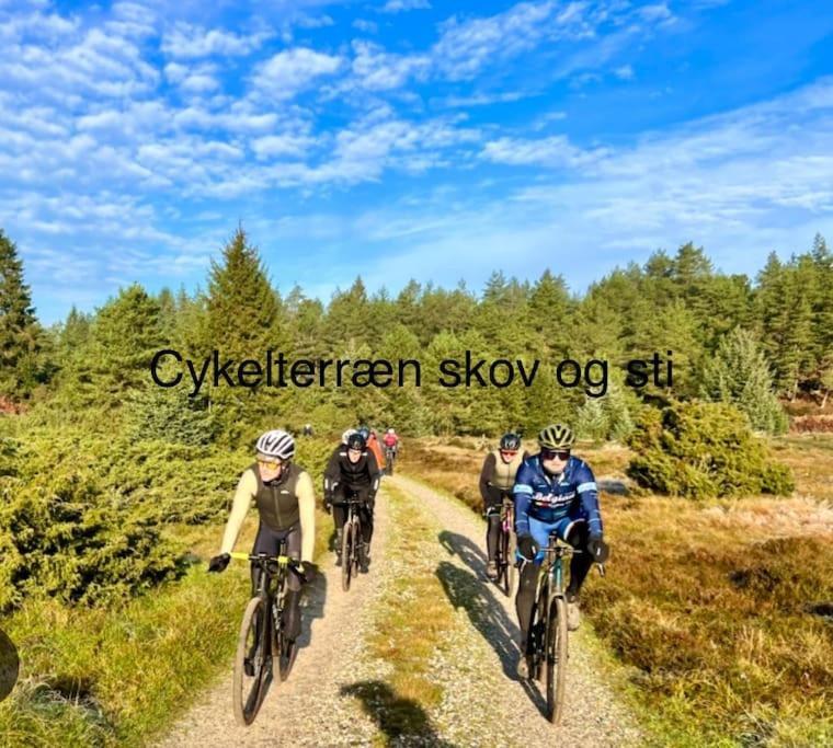 Mindedalen - Idyl Taet Pa Alt Og Helt I Fred Billum Exterior foto