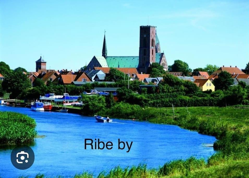 Mindedalen - Idyl Taet Pa Alt Og Helt I Fred Billum Exterior foto