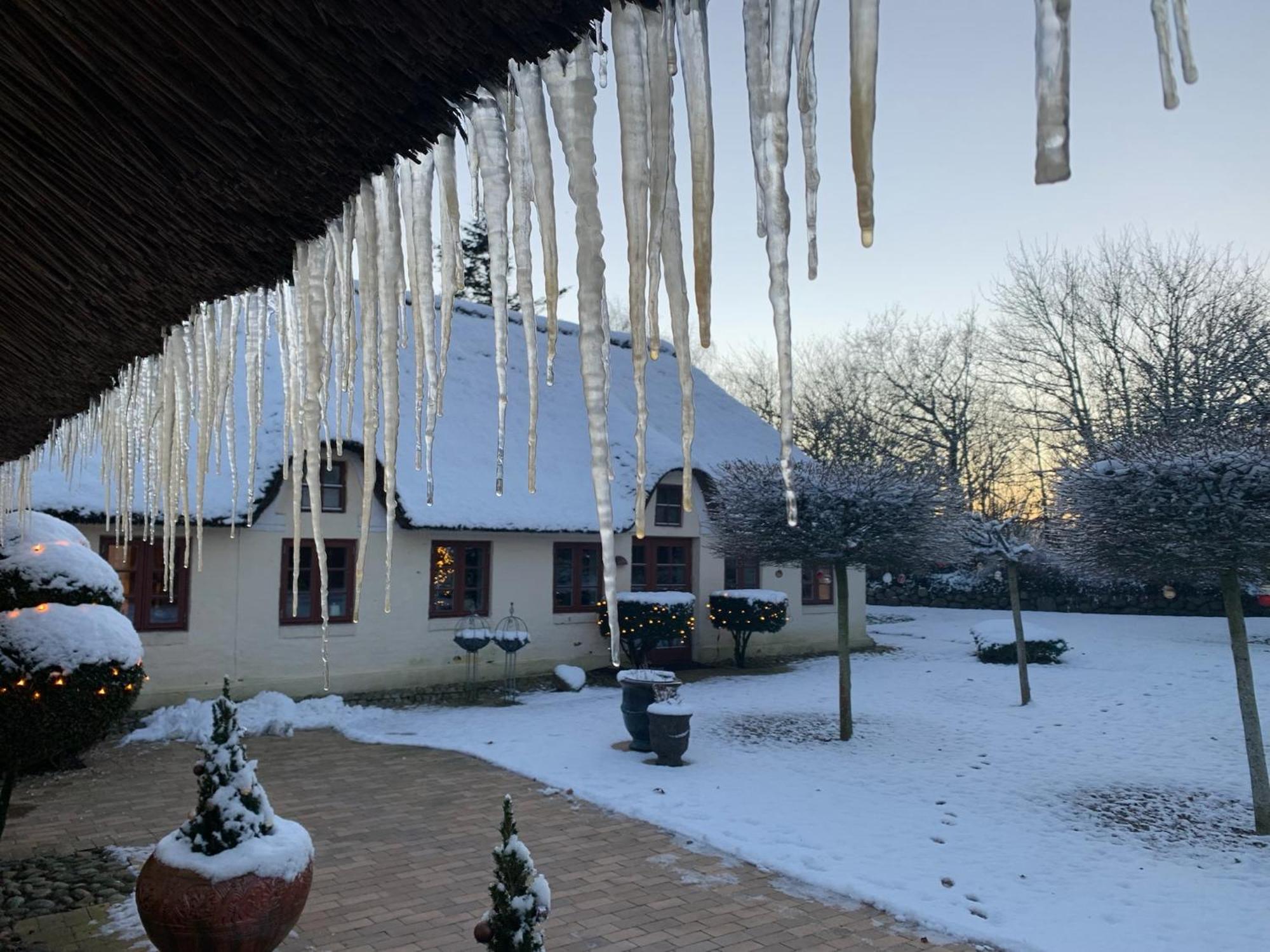 Mindedalen - Idyl Taet Pa Alt Og Helt I Fred Billum Exterior foto