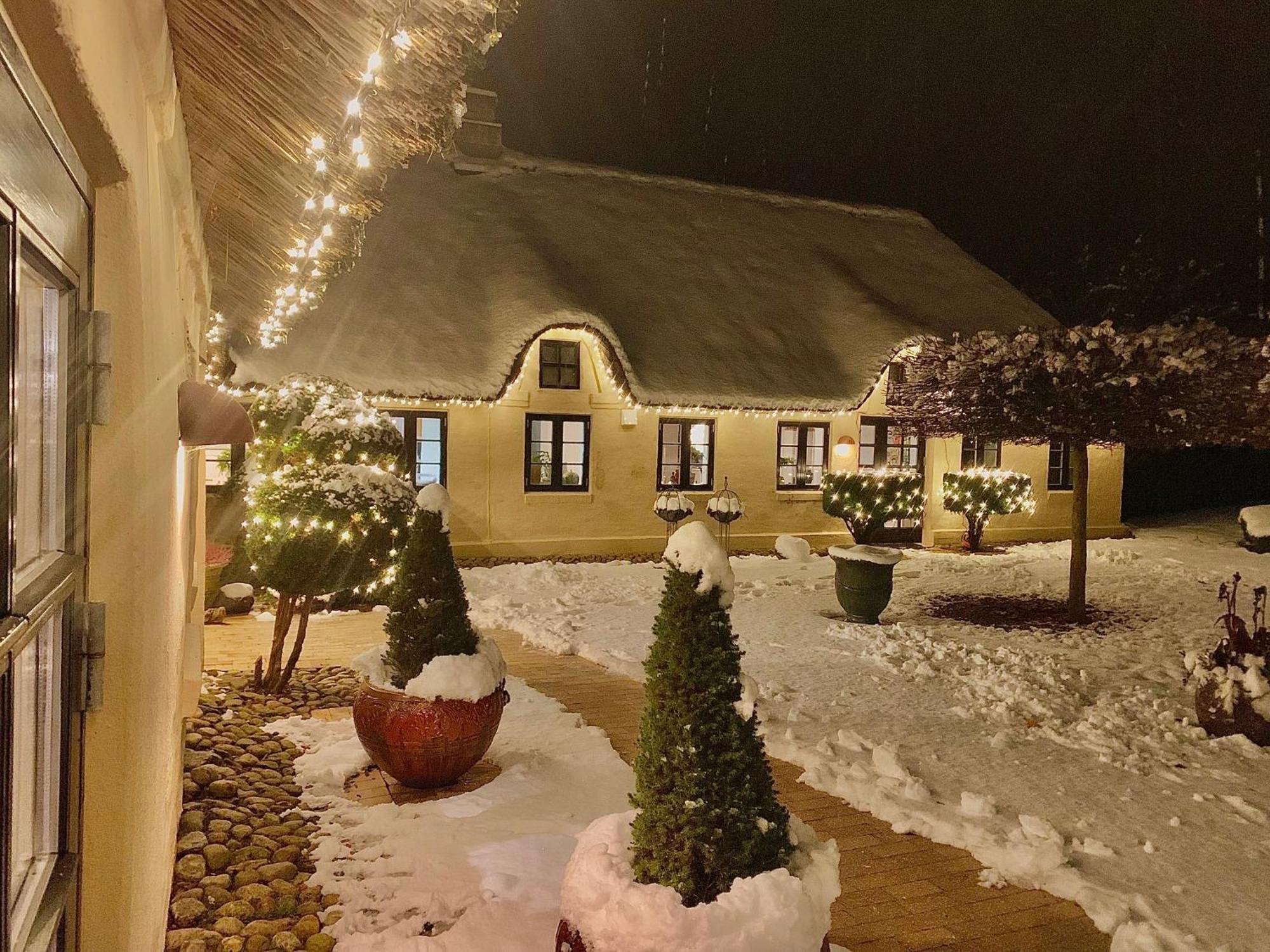 Mindedalen - Idyl Taet Pa Alt Og Helt I Fred Billum Exterior foto